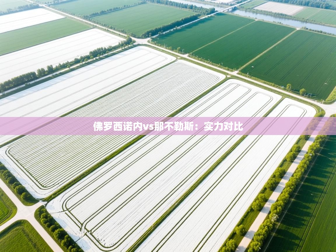 佛罗西诺内vs那不勒斯:实力对比 第1张