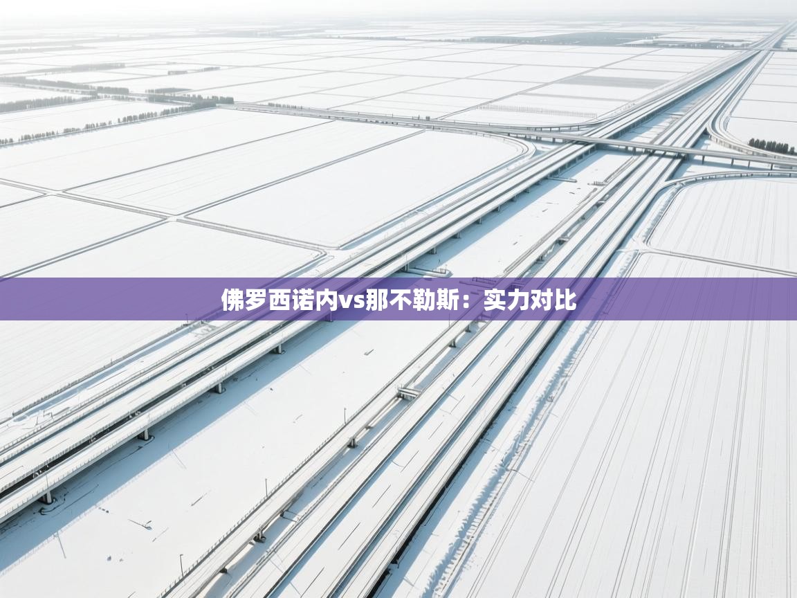 佛罗西诺内vs那不勒斯:实力对比 第2张