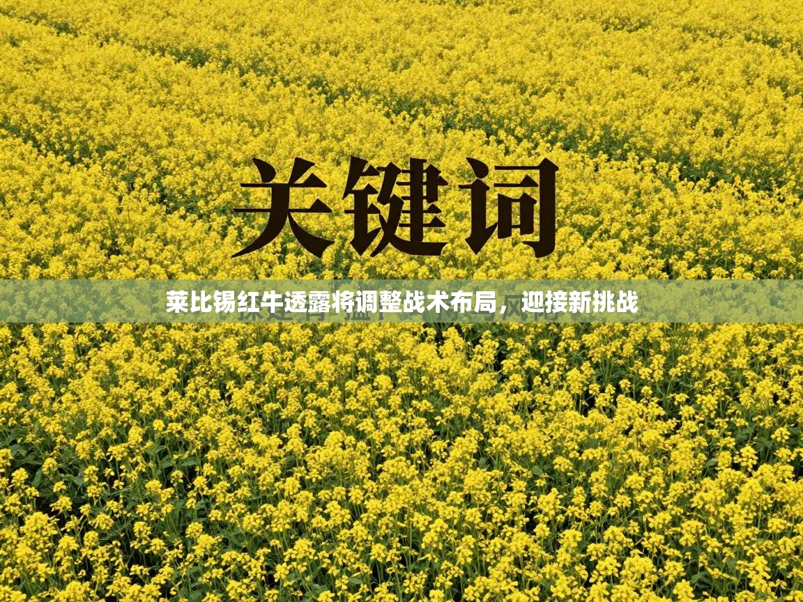 莱比锡红牛透露将调整战术布局，迎接新挑战