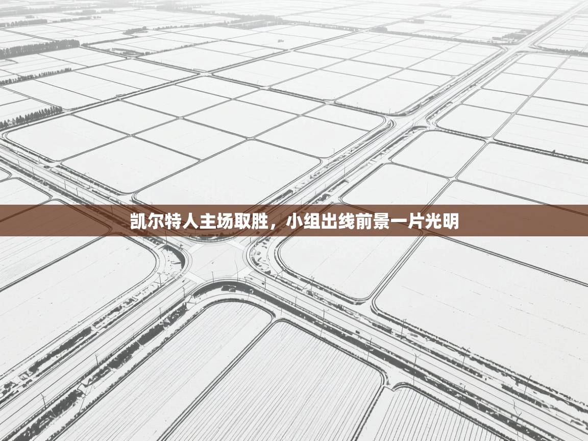 凯尔特人主场取胜，小组出线前景一片光明  第1张